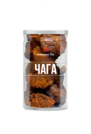 Чага
