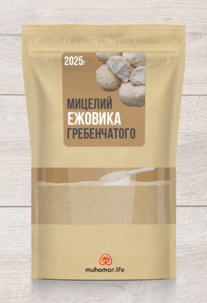 Мицелий Ежовика Гребенчатого