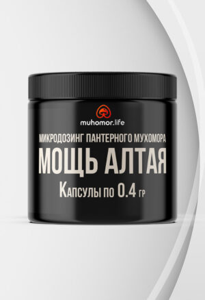 Микродозинг мухомора пантерного "Мощь Алтая"